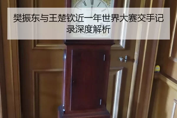 樊振东与王楚钦近一年世界大赛交手记录深度解析
